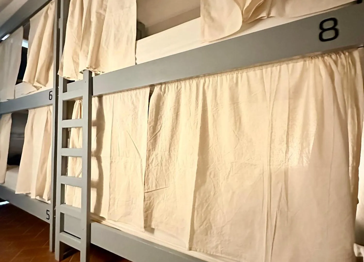 Gorilla Hostel