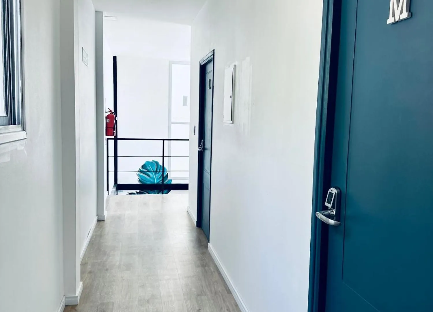 Gorilla Hostel